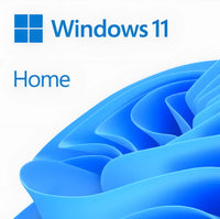 Microsoft Windows11 Home64Bit DSP